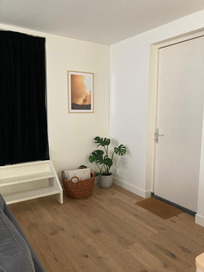 Guesthouse Bonniehofje ザントフォールト エクステリア 写真
